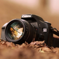 流川楓是赤木晴子的